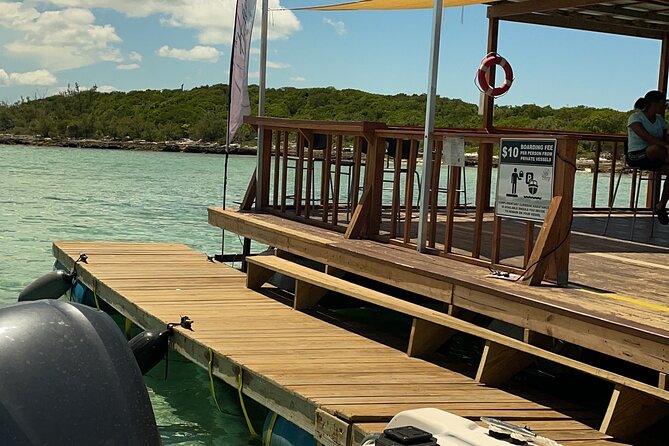 The Amazing Party Excursion (Private) - Traveler Reviews and Ratings