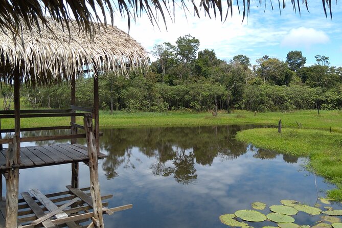 The Amazon River and the Meeting of the Waters Group Tour - Tour Location and Capacity