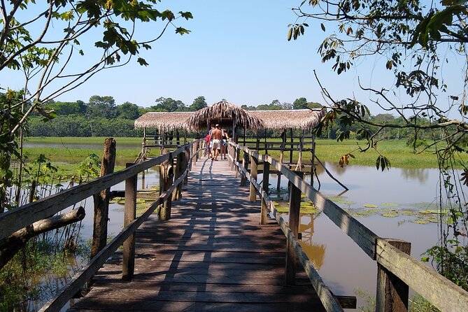 The Amazon River and the Meeting of the Waters Group Tour - Price and Booking Details