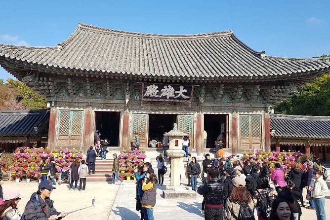 The Ancient City of Brilliant Shilla Kingdom - Gyeongju in One Day( or Overnite) - Outdoor Activities in Gyeongju