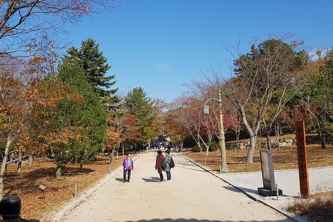 The Ancient City of Brilliant Shilla Kingdom - Gyeongju in One Day( or Overnite) - The Sum Up
