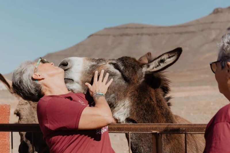 The Animal Academy - Shelter Tour - Shelter and Conservation Mission