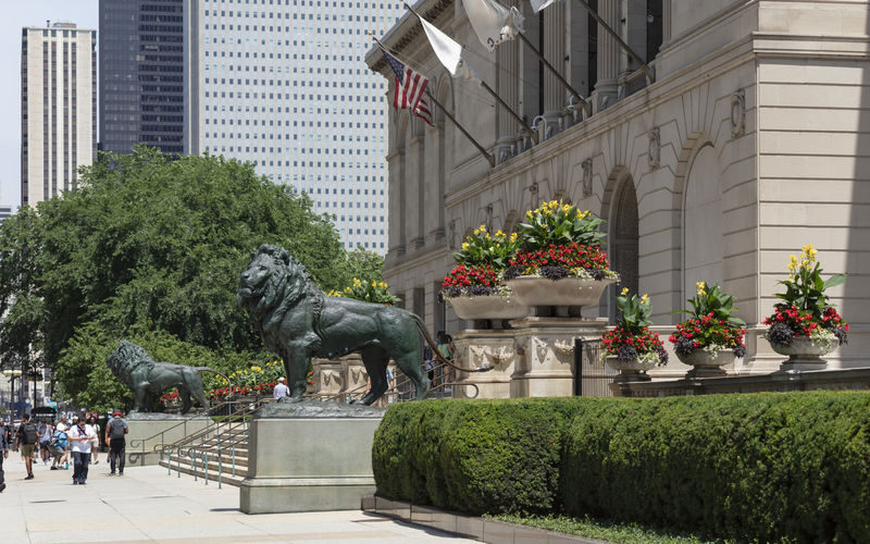 The Art Institute of Chicago Ticket - At a glance