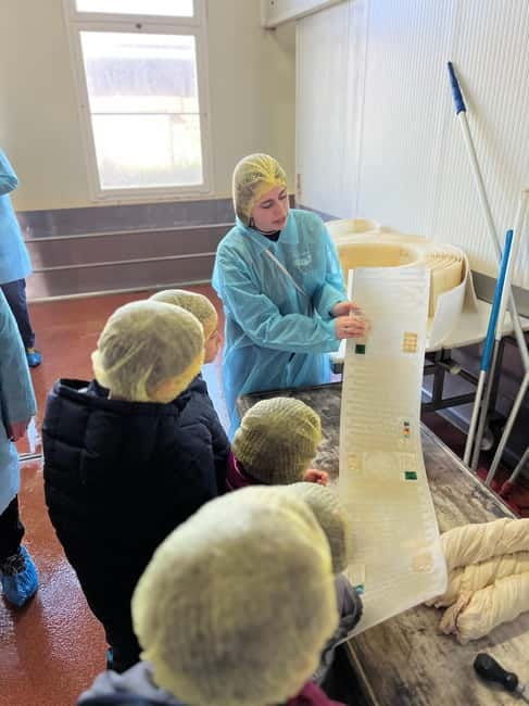 The Art of Parmigiano Reggiano & Aged Balsamic Vinegar - The Balsamic Vinegar Journey