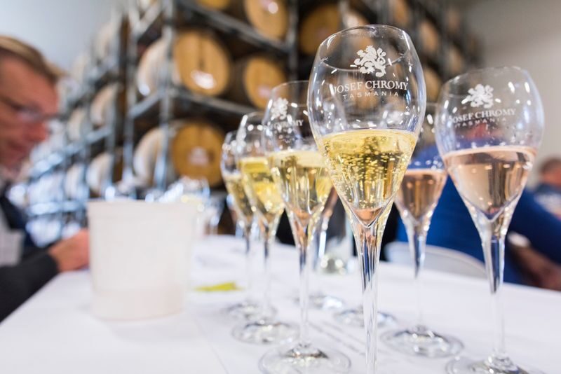 The Art of Sparkling at Josef Chromy Winery in Tasmania - The 11am walk around the Relbia estate