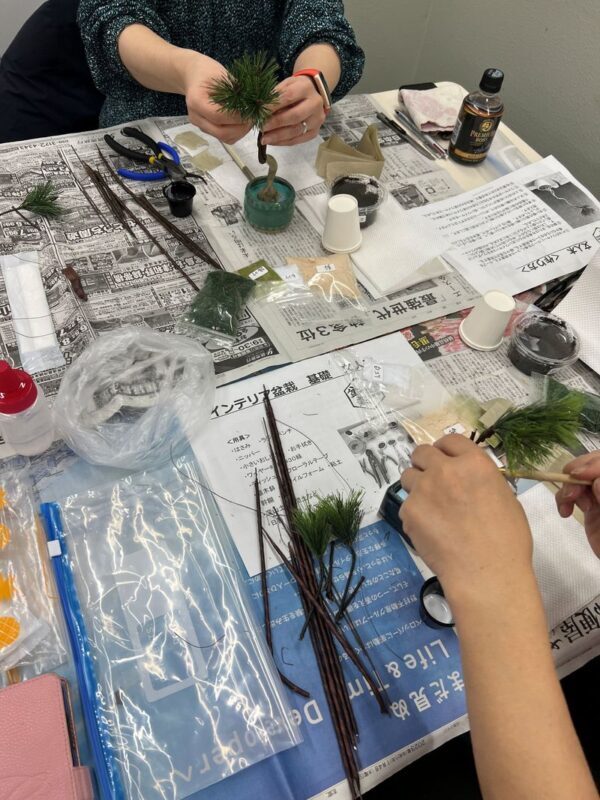 The Art of "Zero-Care" Bonsai: Authentic Crafting in Asakusa - Is $75.70 a fair price?