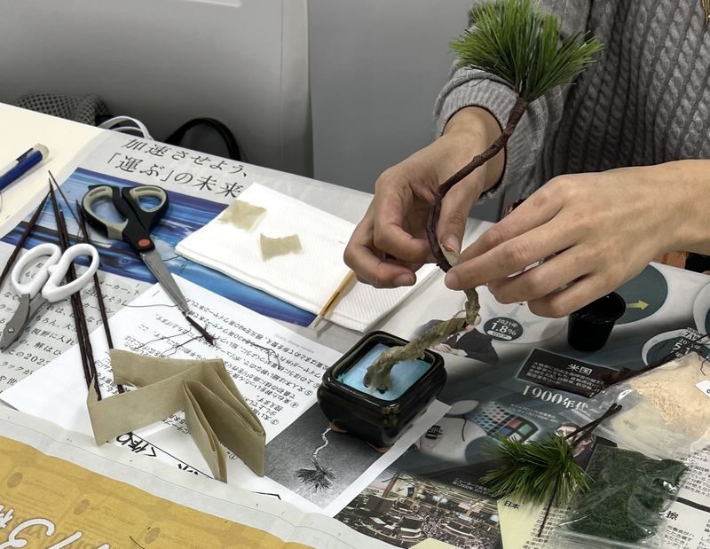 The Art of "Zero-Care" Bonsai: Authentic Crafting in Asakusa - Getting to the studio and choosing a session