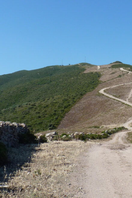The Asco Valley Starting From Bastia - Tour Highlights
