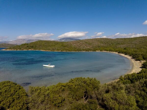 The Athenians - Half Day Private Cruise to Athens Riviera - Booking Information