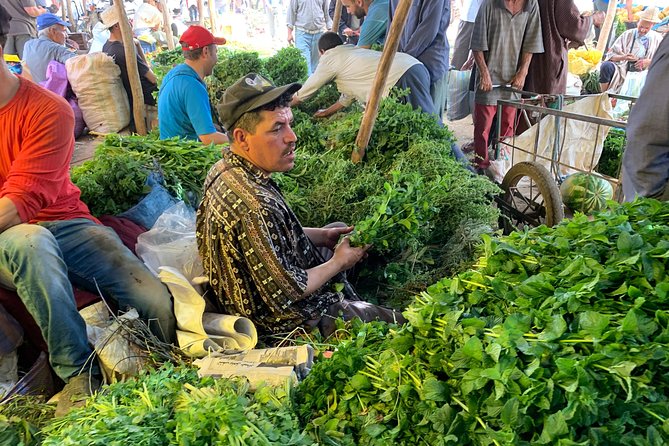 The Atlas Mountains and 5 Valleys Day Trip From Marrakech With Berber Lunch - Pricing and Terms