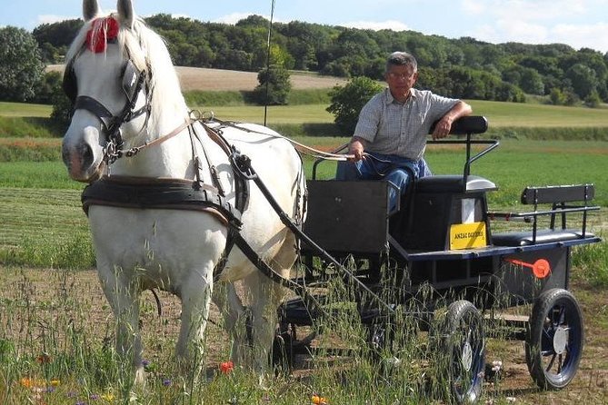 The Australian BattLEfield of LE HAMEL in Harness - Overview and Tour Details