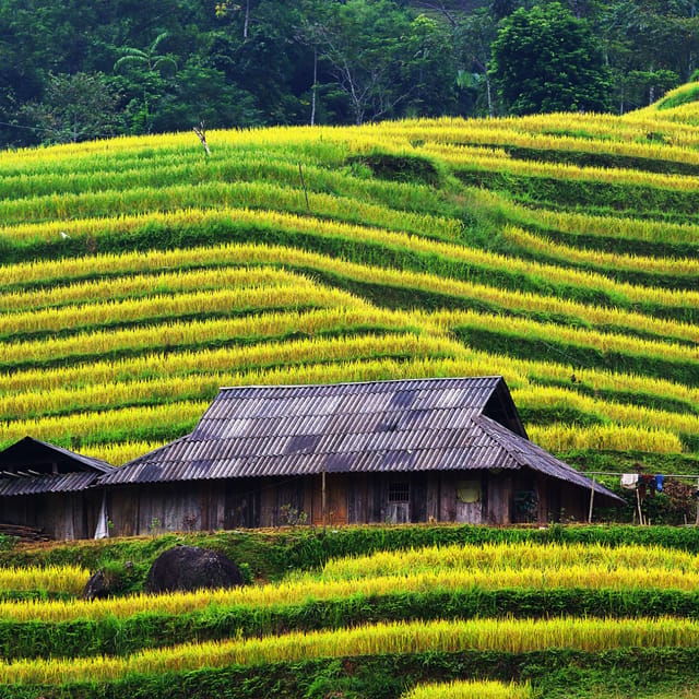 The AUTHENTIC Ha Giang Loop 3D2N With Easy Rider/Self-Drive - Transportation Options