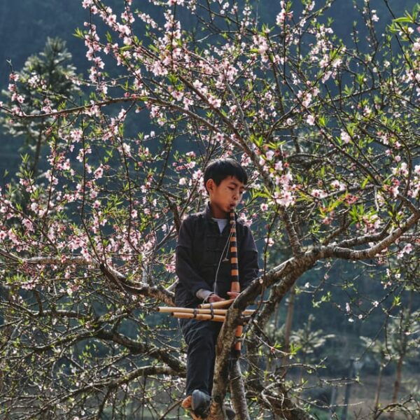 The AUTHENTIC Ha Giang Loop 3D2N With Easy Rider/Self-Drive - Memorable Experiences