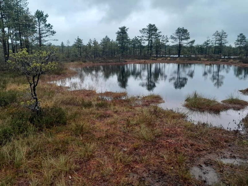 The Authentic Lahemaa daytour Carmen reisid - Good To Know