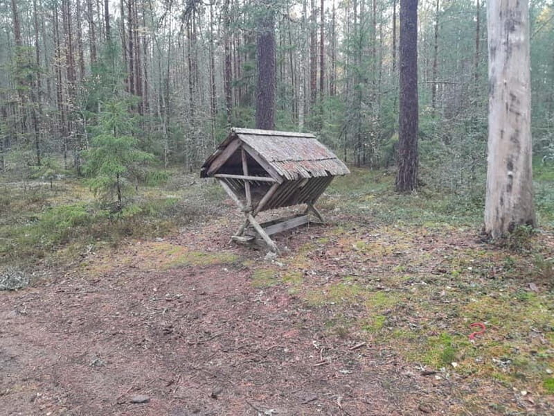 The Authentic Lahemaa daytour Carmen reisid - A Complete Guide to the Lahemaa Daytour