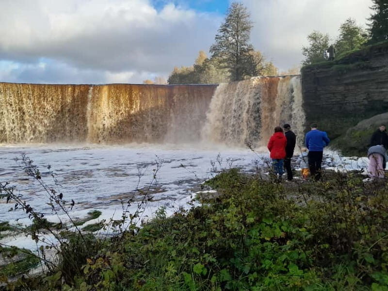 The Authentic Lahemaa daytour Carmen reisid - Who is This Tour Best For?