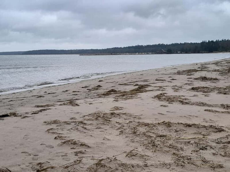 The Authentic Lahemaa daytour Carmen reisid - FAQ