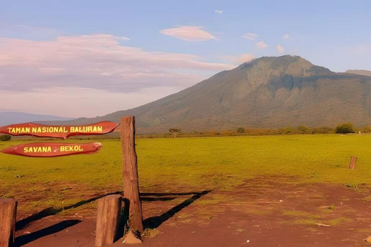 The Authentic Sunset Of Baluran National Park Banyuwangi - Key Points