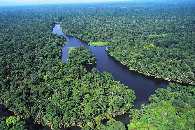 The Authentic Tortuguero National Park One Day Tour - Tour Highlights