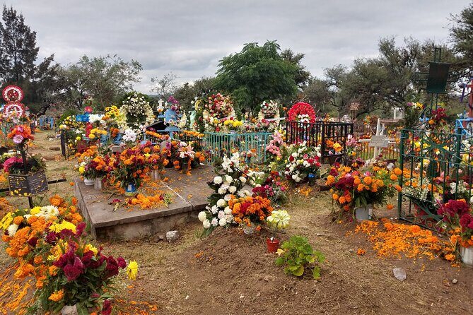 The authentic tour of the day of the dead in San Miguel d Allende - The Sum Up