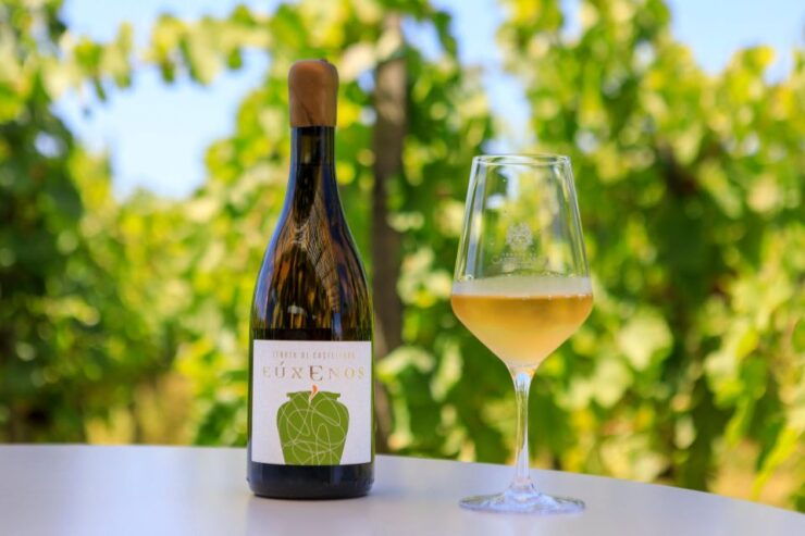 THE AUTOCTONES TASTING - Experience Highlights