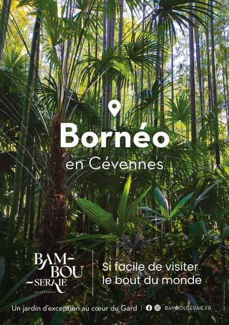 The Bamboo Grove in Cévennes Ticket - Environmental Commitment