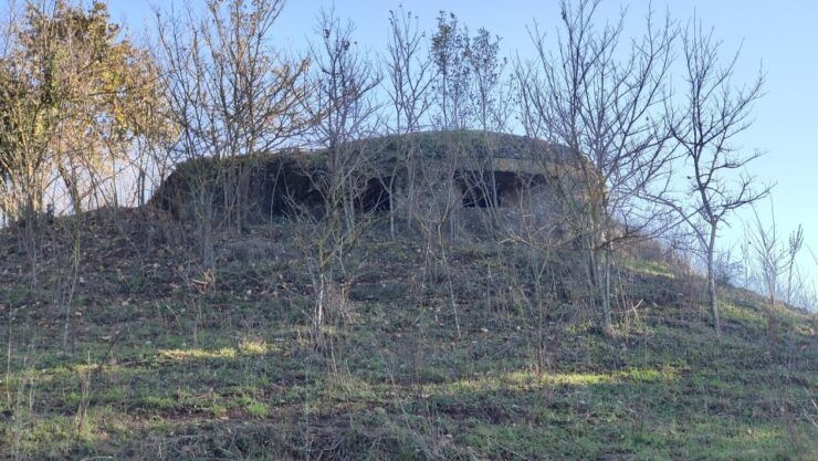 The Battle of Malpasso: Behind the Scenes of the 2 World War - Good To Know