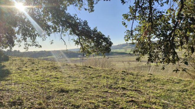 The Battle of Malpasso: Behind the Scenes of the 2 World War - Guided Tours and Local Insights