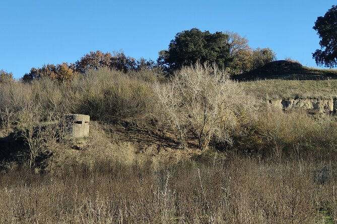 The Battle of Malpasso: Tour Behind the Scenes of the 2 World War - Expert Guided Tour Details