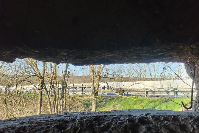 The Battle of Malpasso: Tour Behind the Scenes of the 2 World War - Interactive War Relics Exhibition