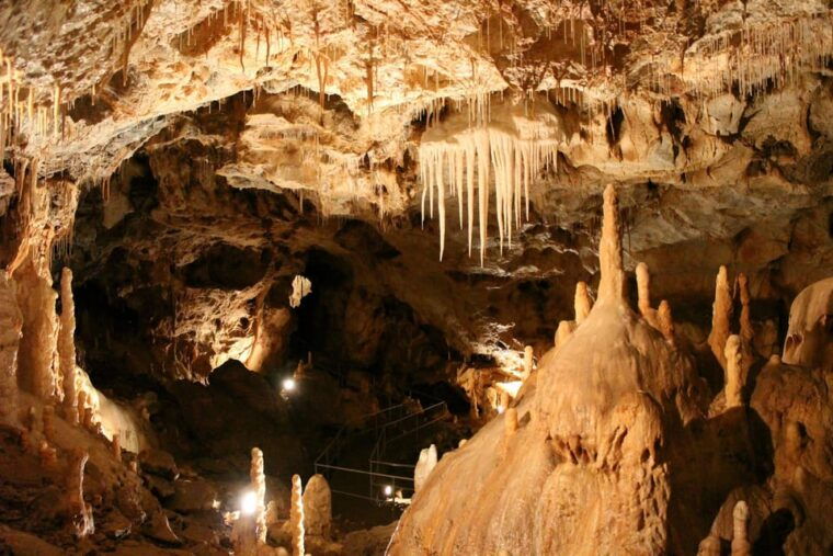 The Bear's cave: 1 day airconditioned car tour from Oradea - Detailed Breakdown: What’s Included & What to Budget For