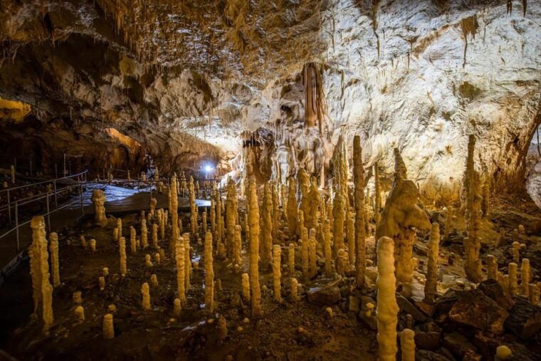 The Bear's cave: 1 day airconditioned car tour from Oradea - Final Thoughts: Who Will Love This Tour?