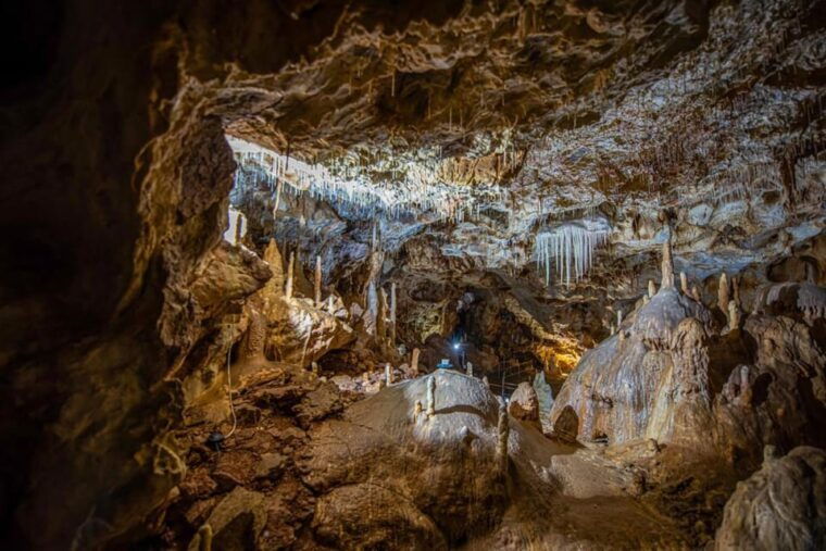 The Bear's cave: 1 day airconditioned car tour from Oradea - FAQ