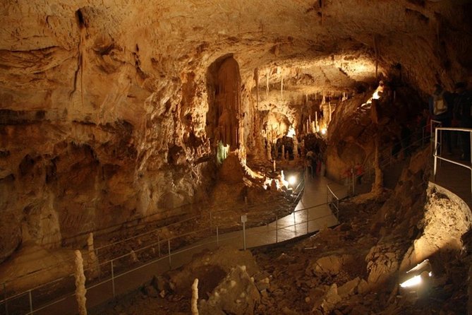 The Bears Cave - One-Day Air Conditioned Car Tour From Oradea - Frequently Asked Questions