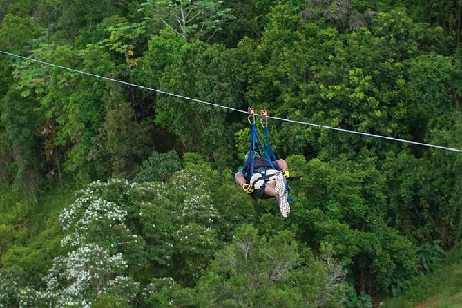 The Beast Zipline in Toroverde Adventure Park - Safety Requirements