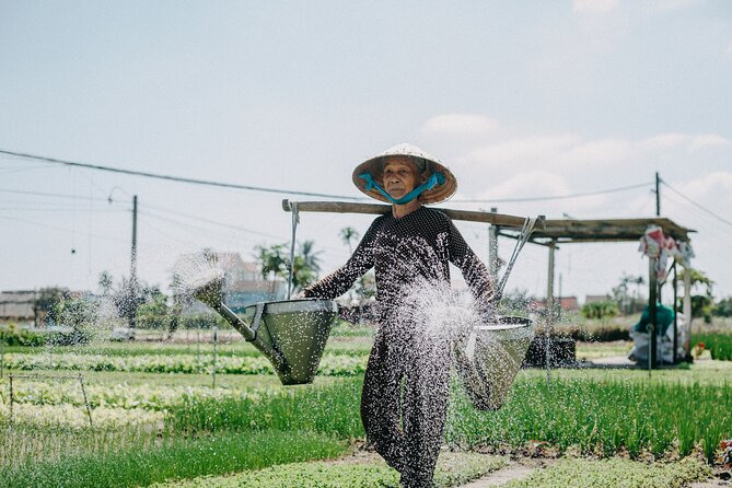 The Beauty of Hoi An by Bike: Private Tour - Accessibility and Suitability