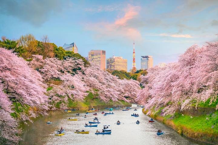 The Beauty of Korea and Japan with Fuji by Europamundo - 15-Day Tour - Tokyo and Kyoto: big-city landmarks, temple time