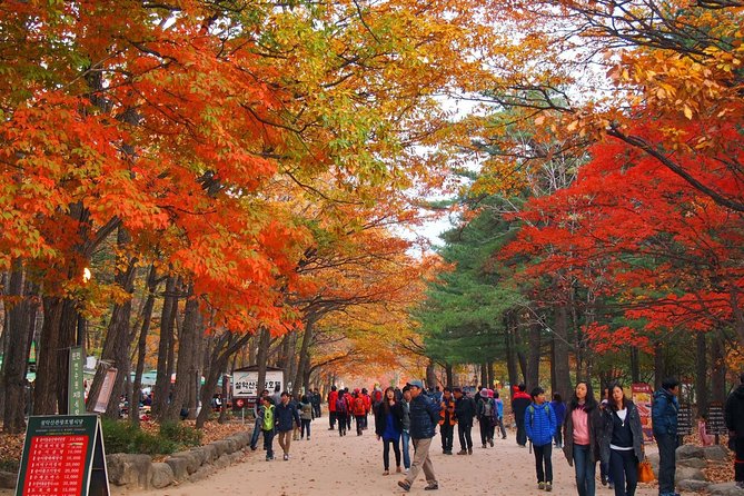 The Beauty of the Korea Fall Foliage Discover 9days 8nights - Meeting and Pickup Details