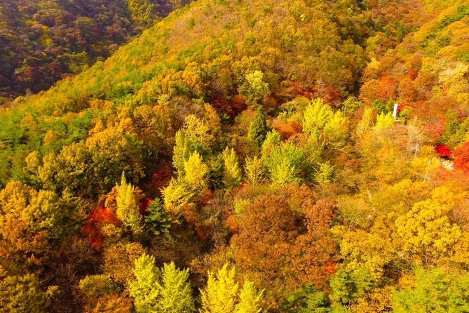 The Beauty of the Korea Fall Foliage Discover 9days 8nights - Booking and Cancellation Policy