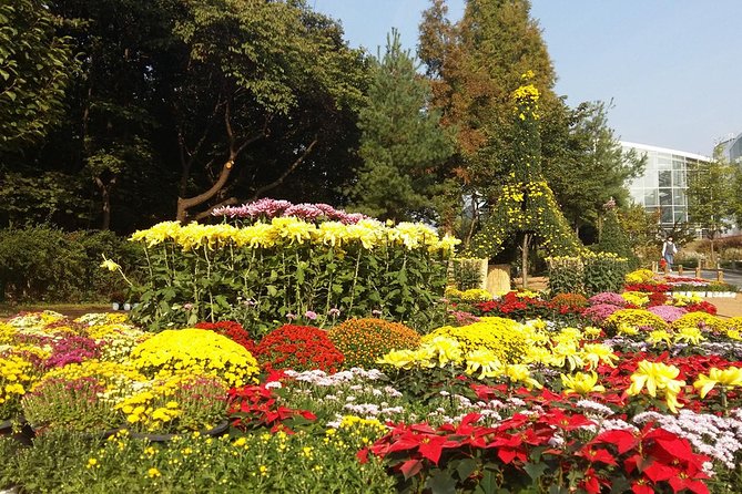 The Beauty of the Korea Fall Foliage Discover 9days 8nights - What to Expect on the Tour