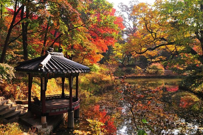 The Beauty of the Korea Fall Foliage Discover 9days 8nights - The Sum Up