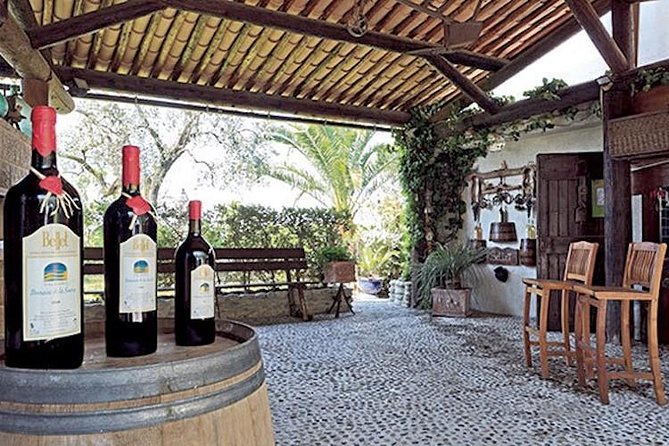 The Bellet Wine Tasting - Tour Pricing and Booking