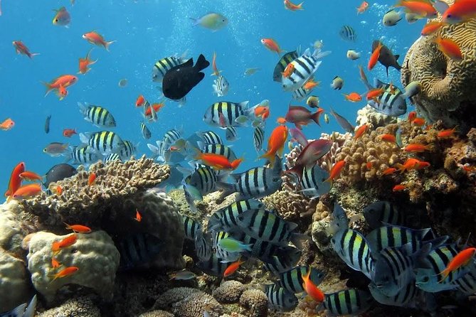 The Best 2-Point Snorkeling in Padangbai: Blue Lagoon and Tanjung Jepun - Snorkeling Locations Overview