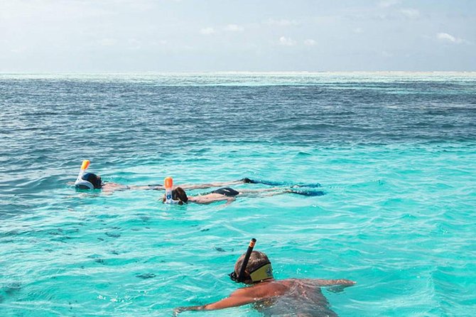 The Best 2-Point Snorkeling in Padangbai: Blue Lagoon and Tanjung Jepun - Review Sources and Ratings