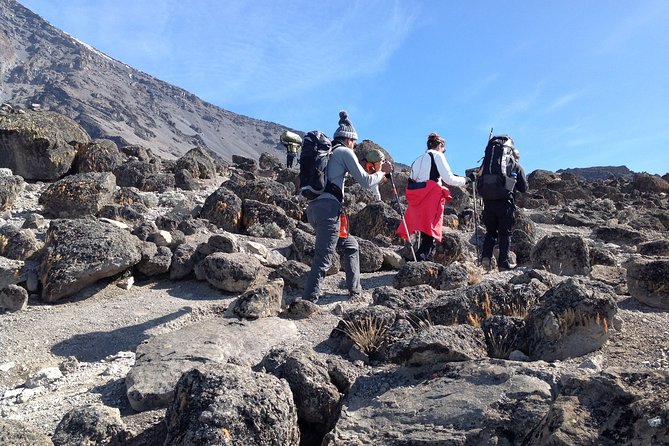 The Best 6-Days Kilimanjaro Hiking (Machame Route - Tour Logistics