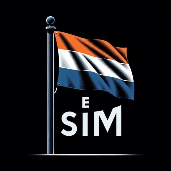 The BEST Amsterdam Tours and Things to Do - Common Questions