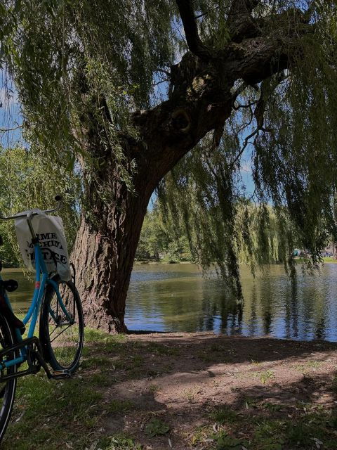 The BEST Amsterdam Tours and Things to Do - Top Amsterdam Tours