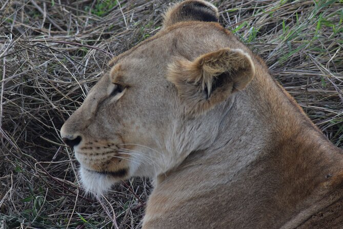 The Best and Most Affordable 4-Day Tanzania Budget Private Safari - Meeting and Pick-up Options