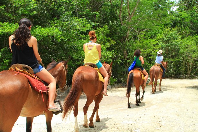 The Best ATVs, Zipline and Cenote Tour With Lunch and Transportation Included - Additional Tour Information
