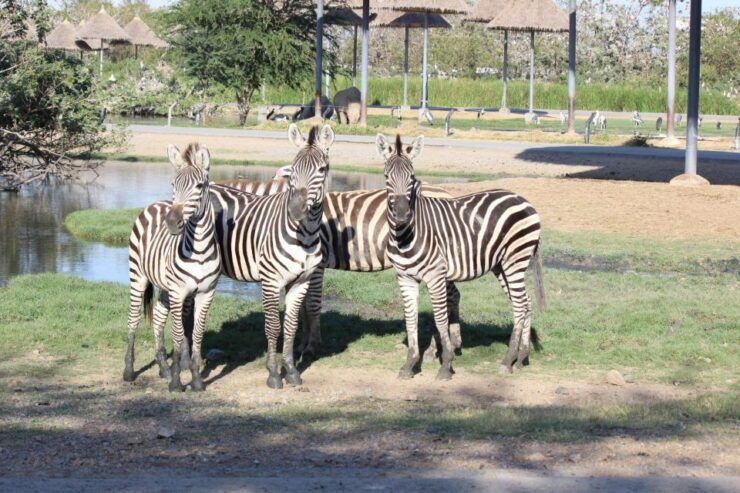 The BEST Bangkok Tours and Things to Do - Guided Tours in Bangkok